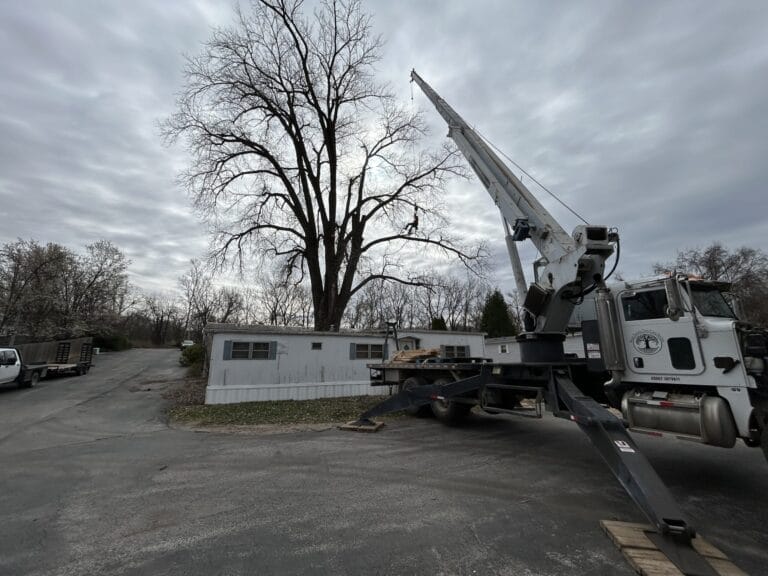 Tree Removal in Lake Lotawana MO